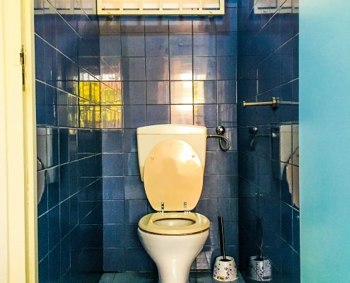 Vakantiehuis-Suriname-Colour-Toilet